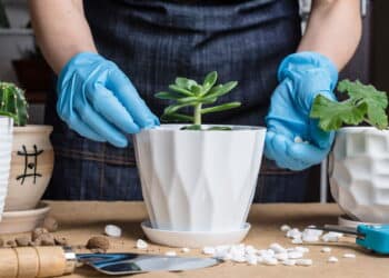 Créditos: depositphotos.com / j_ilina