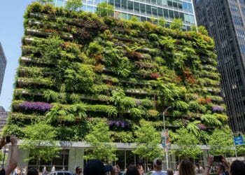Fachada verde gigante em prédio comercial vira atração e tamanho impressiona