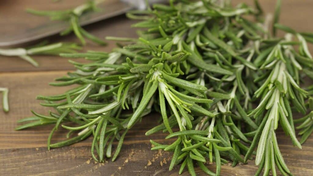 As 3 plantinhas que cuidam da sua imunidade e são fáceis de cultivar