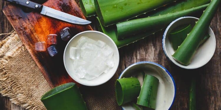 Shampoo que disfarça os cabelos brancos e cabe no bolso