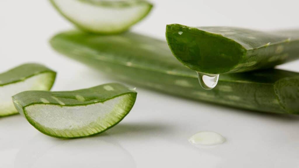 Horta caseira com as melhores plantas para revitalizar o cabelo sem gastar dinheiro