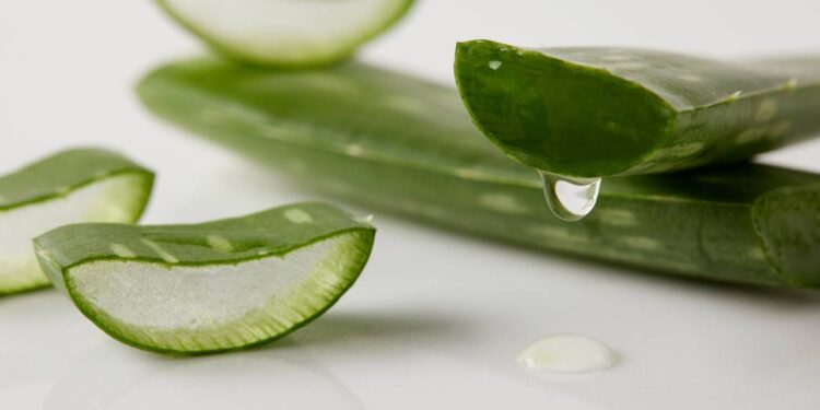 5 plantas que deixam sua pele macia como a de um bebê