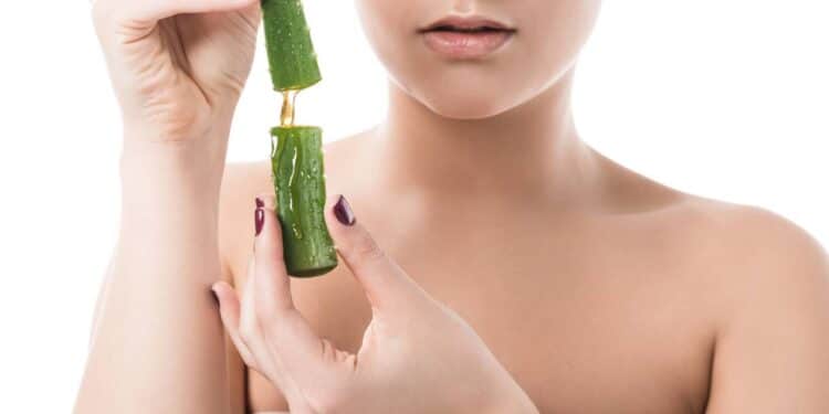 Como usar o gel natural dessa planta fácil de cuidar para hidratar, reduzir inflamações e rejuvenescer a pele