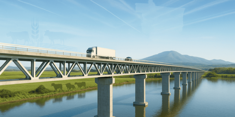 Investimento de R$ 252 milhões em ponte deve gerar centenas de empregos em MT