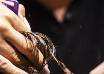 Carinha de 30 para sempre com esses novos cortes de cabelo que fazem as idosas 60+ rejuvenescerem em 2025