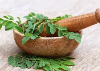 O segredo da planta milenar que virou a solução favorita dos cabelos oleosos