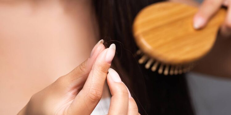 Top 3 shampoos baratinhos que estão salvando os fios fracos e quebradiços