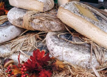 Anvisa recolhe queijo artesanal contaminado em todo o Brasil por risco a saúde