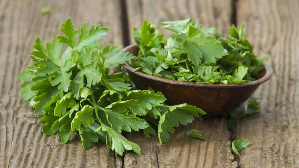 As 4 ervas queridinhas dos cozinheiros que são fáceis de plantar