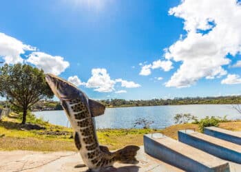 Cidade do interior de Minas se destaca pela tranquilidade e geração de empregos