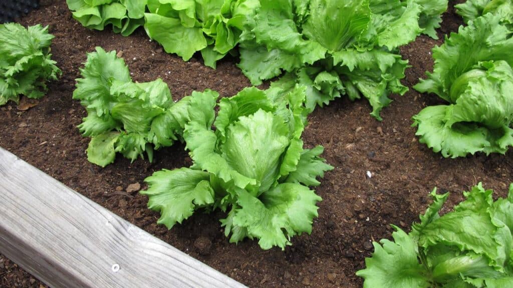 Créditos: depositphotos.com / HeikeRau