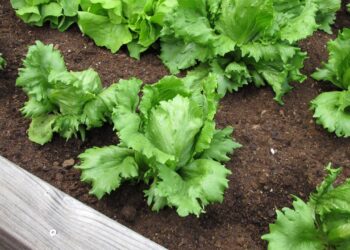 Créditos: depositphotos.com / HeikeRau