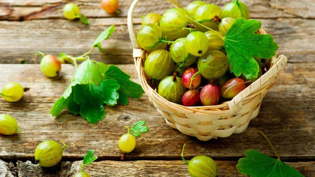 A planta que previne cabelos brancos e fortalece os fios em casa