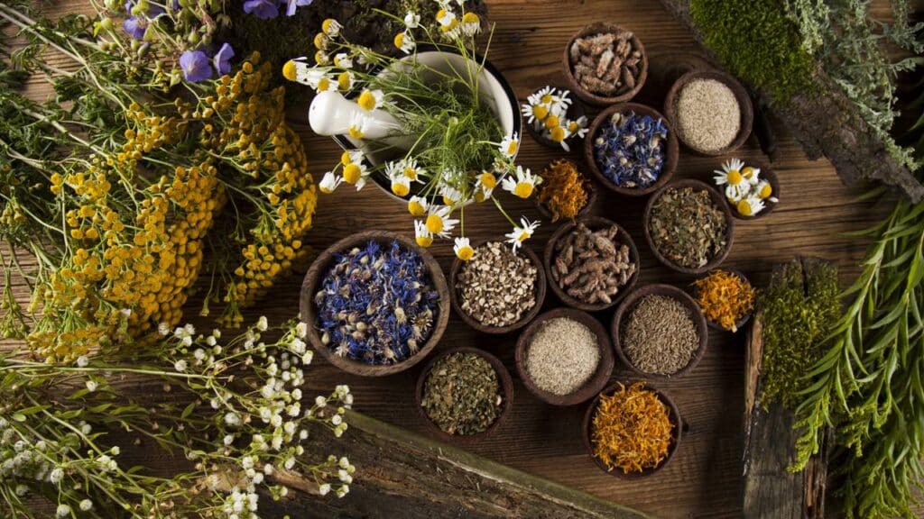 As 5 ervas poderosas no banho que aumentam sua autoestima