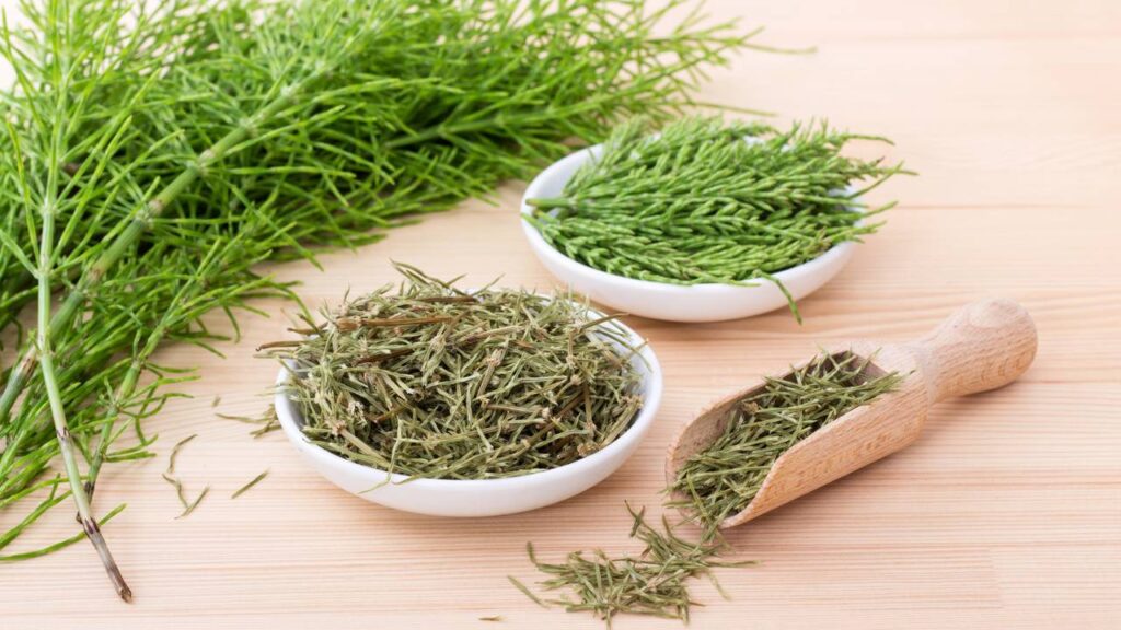 Usei essa planta para minhas unhas quebradiças e elas nunca cresceram tão rápido