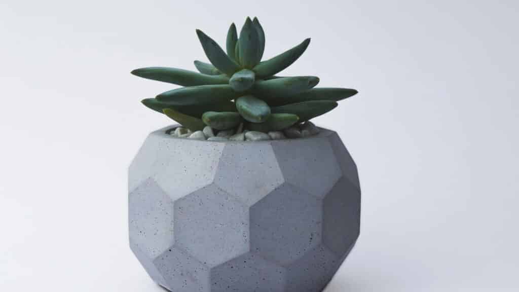 Decoração fácil e barata com vasinhos de cimento feitos à mão