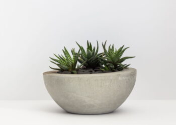 Decoração fácil e barata com vasinhos de cimento feitos à mão