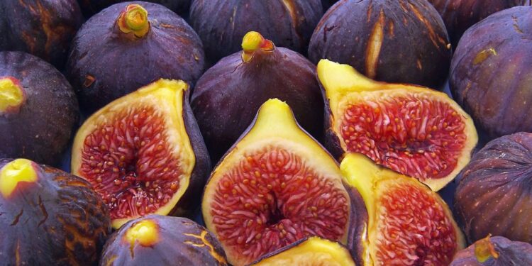 O fruto antigo ainda cultivado capaz de melhorar sua saúde em casa
