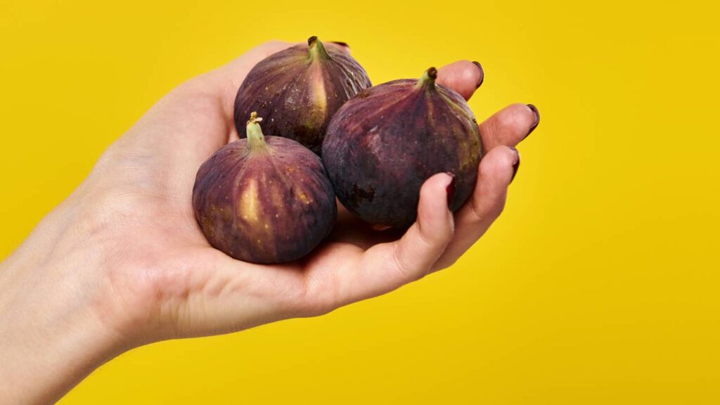 O fruto antigo ainda cultivado capaz de melhorar sua saúde em casa