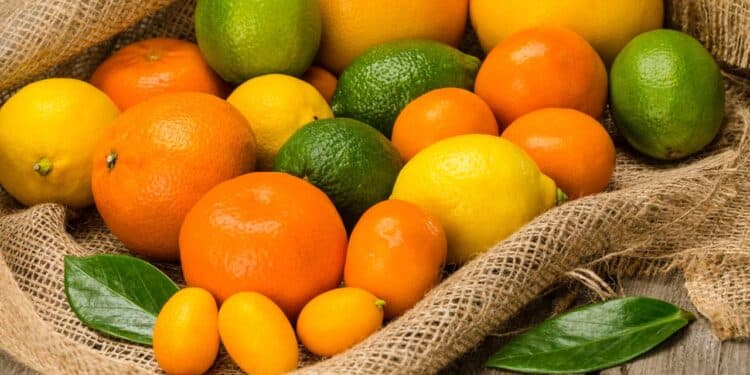 O jeito certo de conservar frutas e verduras e evitar desperdício