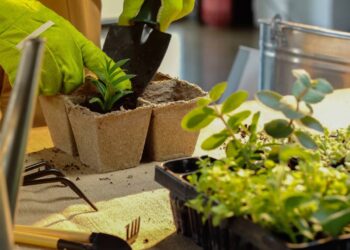 O segredo dos jardineiros que faz qualquer horta florescer rápido