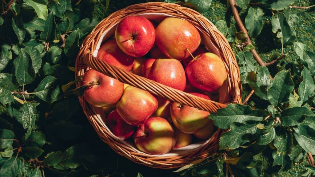 A fruta poderosa que reduz o colesterol alto é fácil de encontrar