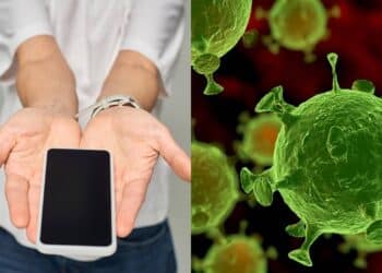 Créditos: depositphotos.com / zhudifeng / IgorVetushko