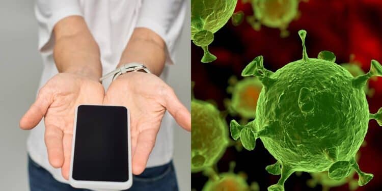 Créditos: depositphotos.com / zhudifeng / IgorVetushko