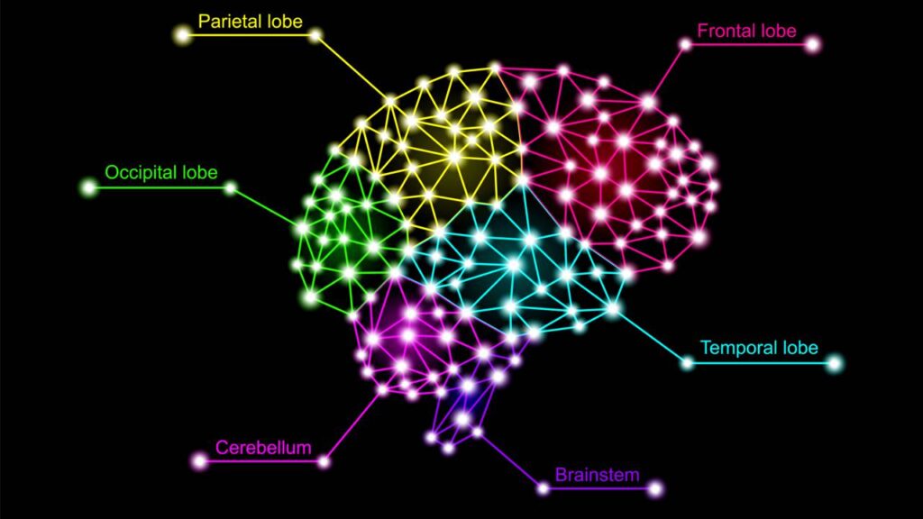 As cores de parede que reduzem o estresse, segundo a neuroarquitetura
