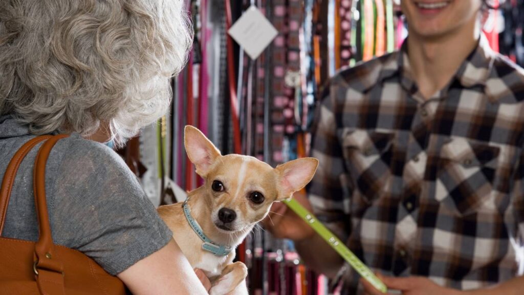 São Paulo aprova lei mais rigorosa do Brasil para pet shops