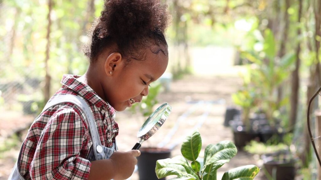 As 3 plantas tóxicas para crianças que devem ser mantidas fora de casa
