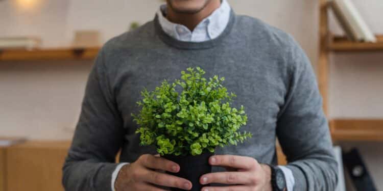 Plantas // Créditos: depositphotos.com / IgorVetushko