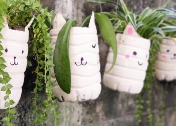 Transforme potes plásticos em vasos decorativos incríveis e baratos