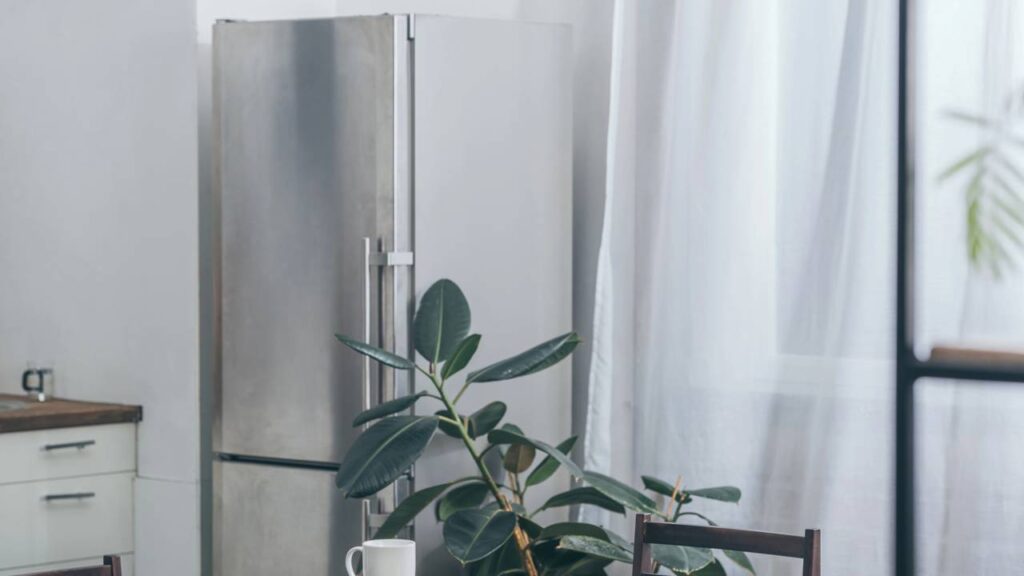 Guardar tudo na geladeira pode estragar mais do que conservar se a ordem for a errada