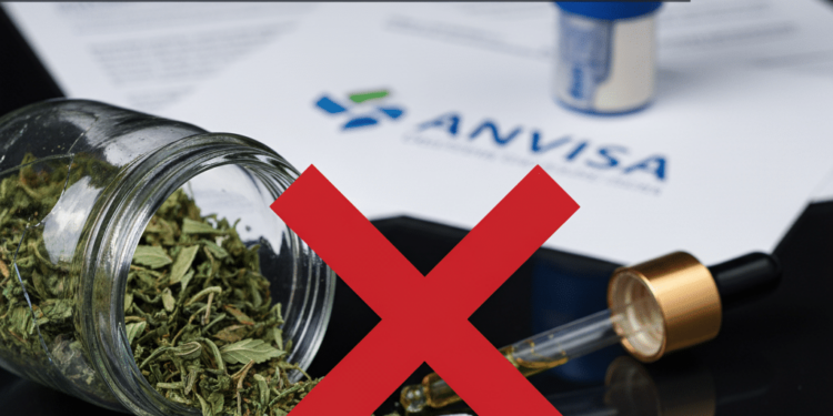 Anvisa proíbe venda de produtos derivados de cannabis