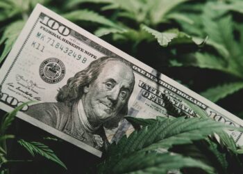 O segredo da planta que atrai dinheiro e todo rico tem em casa
