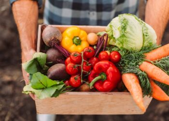 As melhores verduras para plantar em casa no final do ano sem dificuldades