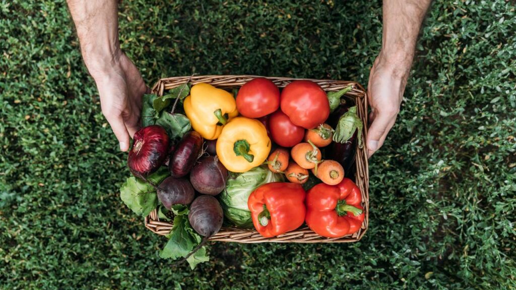 As melhores verduras para plantar em casa no final do ano sem dificuldades