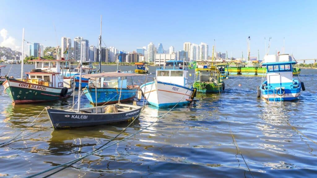 Créditos: depositphotos.com / losak.napior