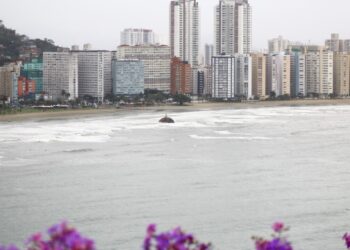 Moradores se assustam após objeto misterioso aparecer em praia de SP