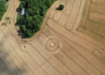 Figura enigmática surge em lavoura de Santa Catarina e assusta moradores