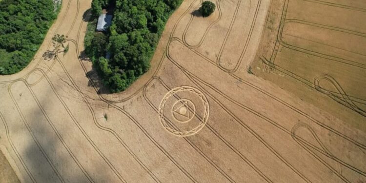 Figura enigmática surge em lavoura de Santa Catarina e assusta moradores