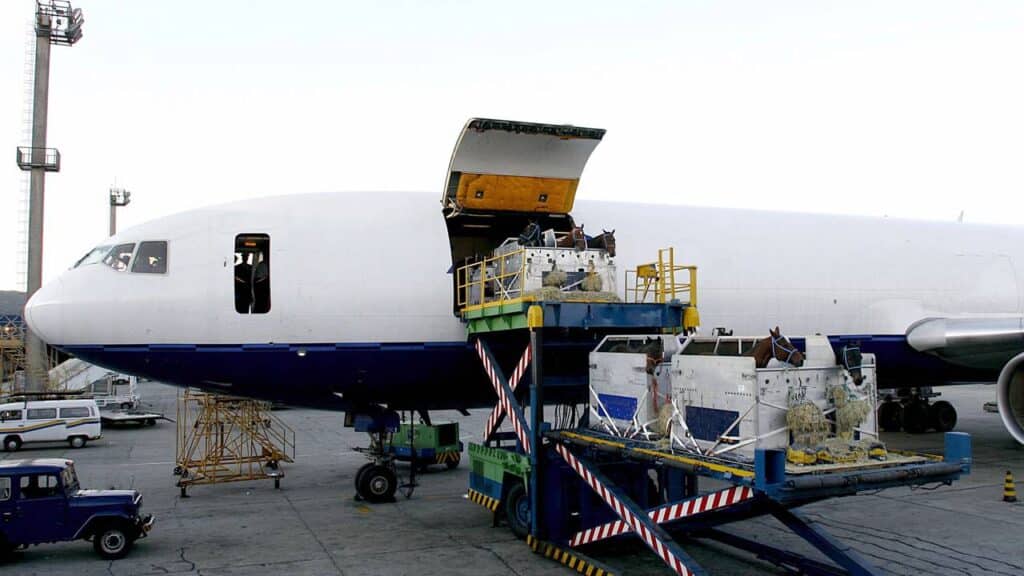 STF decide suspender lei sobre transporte aéreo de animais de apoio emocional no Brasil