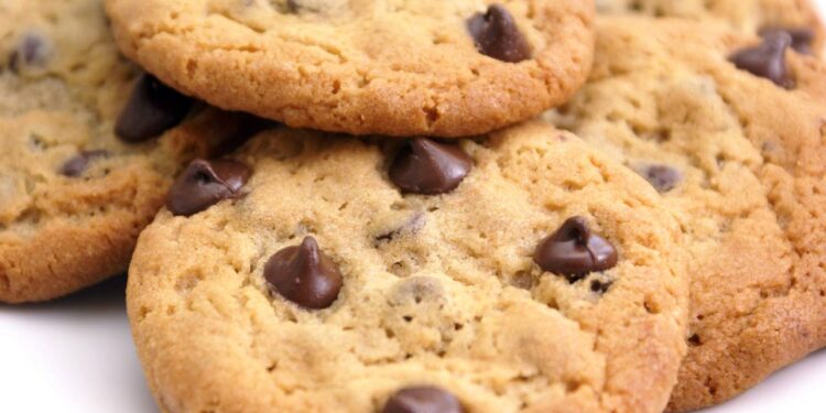 Empresas famosas no Brasil são condenadas por ter larvas em biscoito