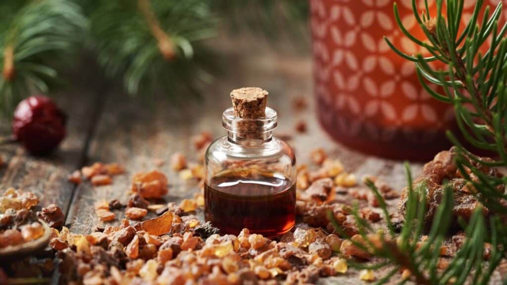 Essa planta é perfeita para limpar o rosto de manchas e tratar a saúde da pele