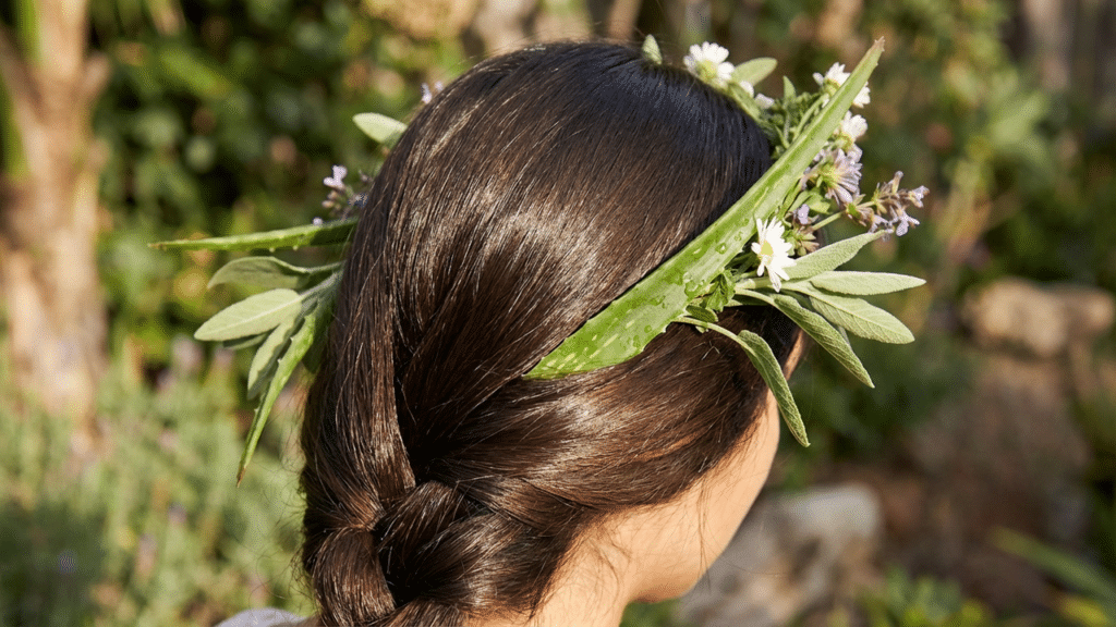 As 2 plantas queridinhas que hidratam profundamente e cuidam do cabelo sem custar nada