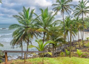 Créditos: depositphotos.com / Junot