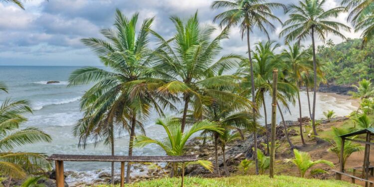 Créditos: depositphotos.com / Junot