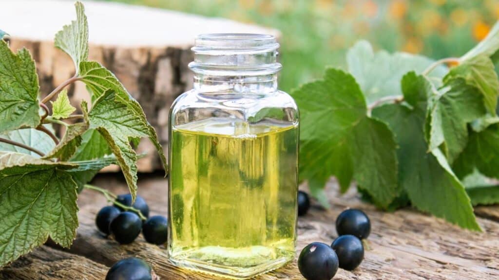 Óleo natural que qualquer pessoa consegue fazer em casa e que acaba com os cabelos grisalhos