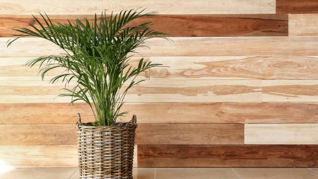 As 3 plantas tropicais ideais para cultivar no Brasil e criar um jardim que parece de resort